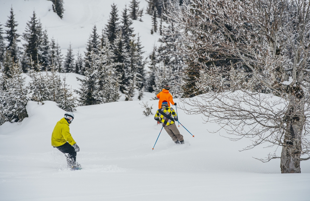 Skiing & Snowboarding