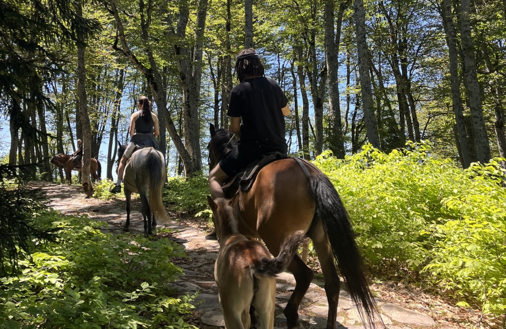 HORSEBACK RIDING