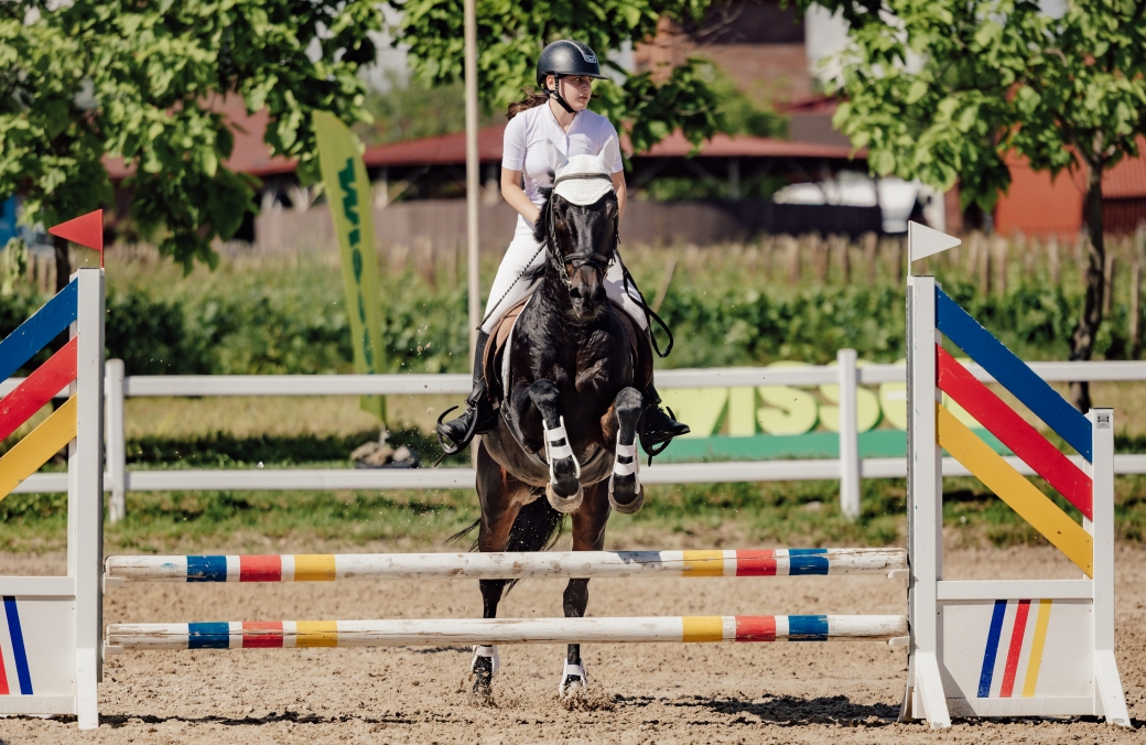 Ambassadori Equestrian Club - 10th Anniversary