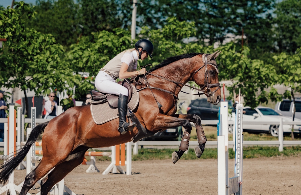 Ambassadori Equestrian Club - 10th Anniversary