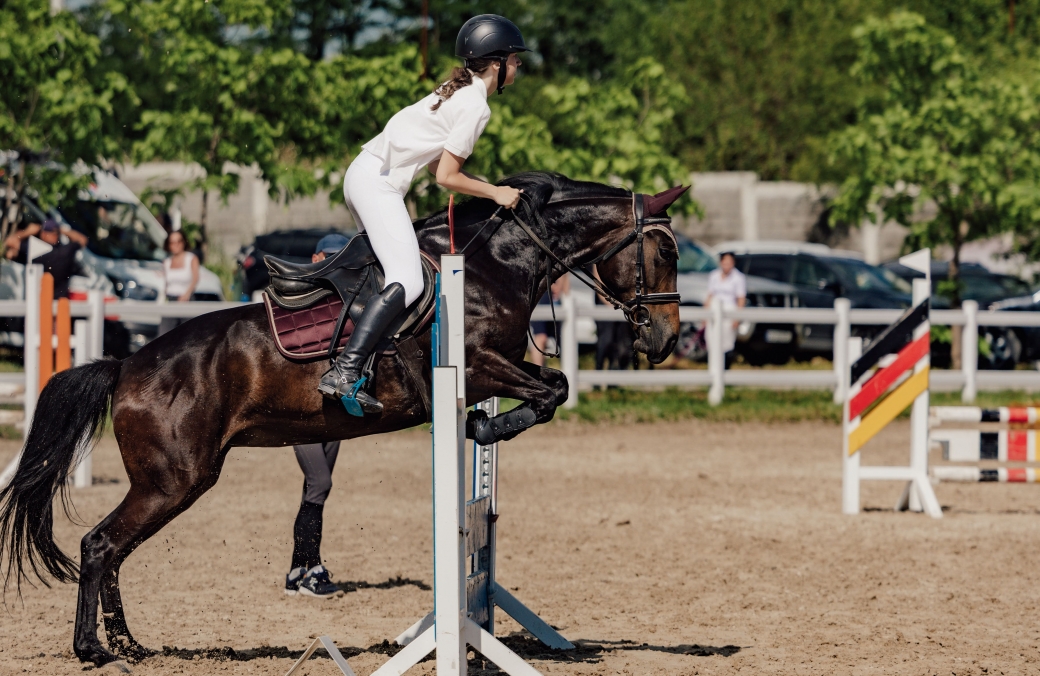 Ambassadori Equestrian Club - 10th Anniversary