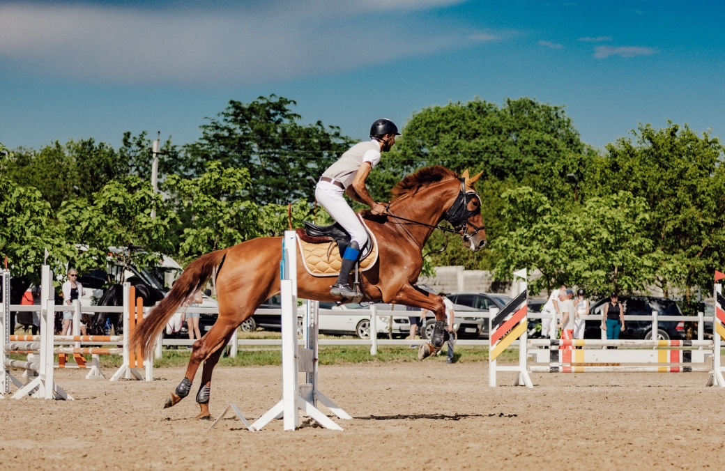Ambassadori Equestrian Club - 10th Anniversary