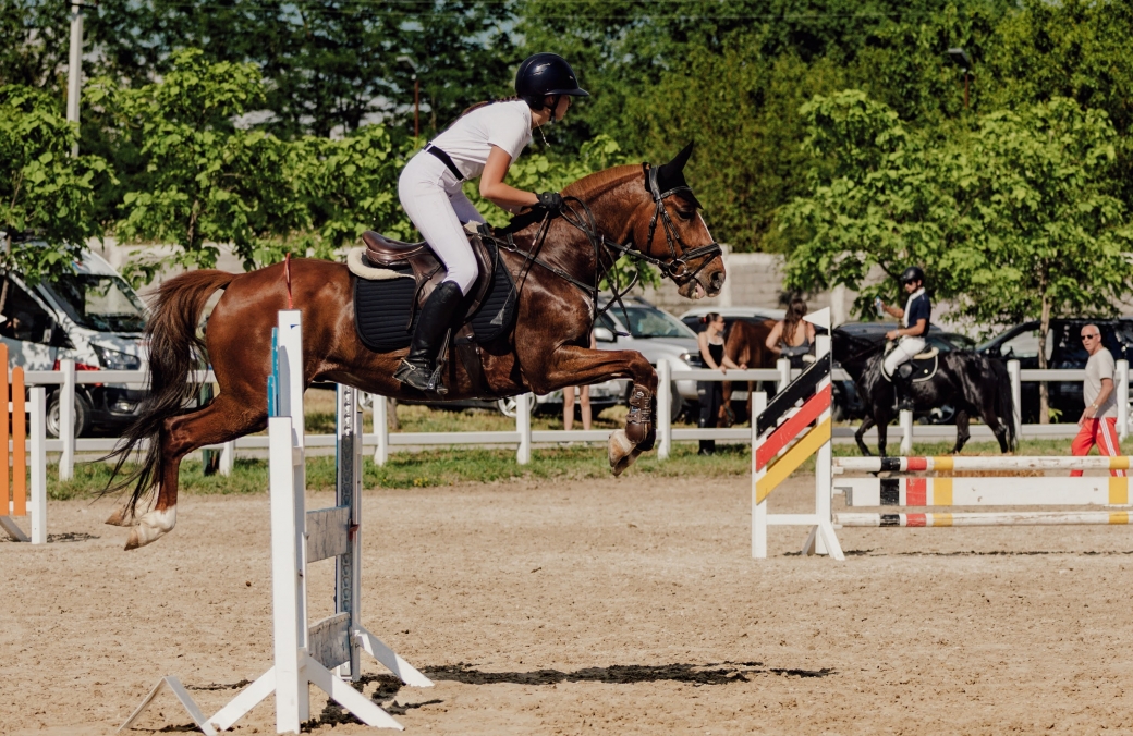 Ambassadori Equestrian Club - 10th Anniversary