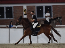 Night Equestrian Competition - 1st Place Winner