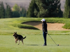 Women Golf Tournament 2021