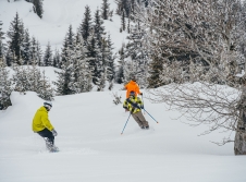 Skiing & Snowboarding