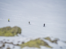 Skiing & Snowboarding