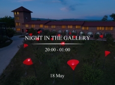 Night in the Gallery