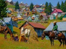 HORSEBACK RIDING