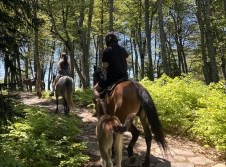 HORSEBACK RIDING