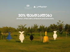Special Offer for TBC Concept