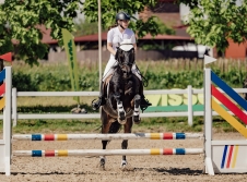 Ambassadori Equestrian Club - 10th Anniversary