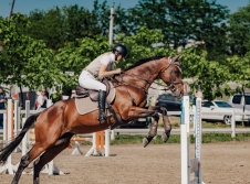Ambassadori Equestrian Club - 10th Anniversary