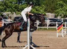 Ambassadori Equestrian Club - 10th Anniversary