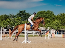 Ambassadori Equestrian Club - 10th Anniversary