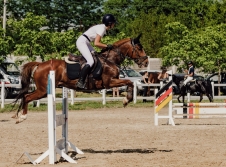 Ambassadori Equestrian Club - 10th Anniversary