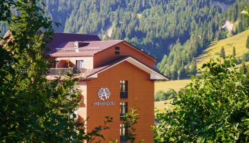 Summer in the Mountains